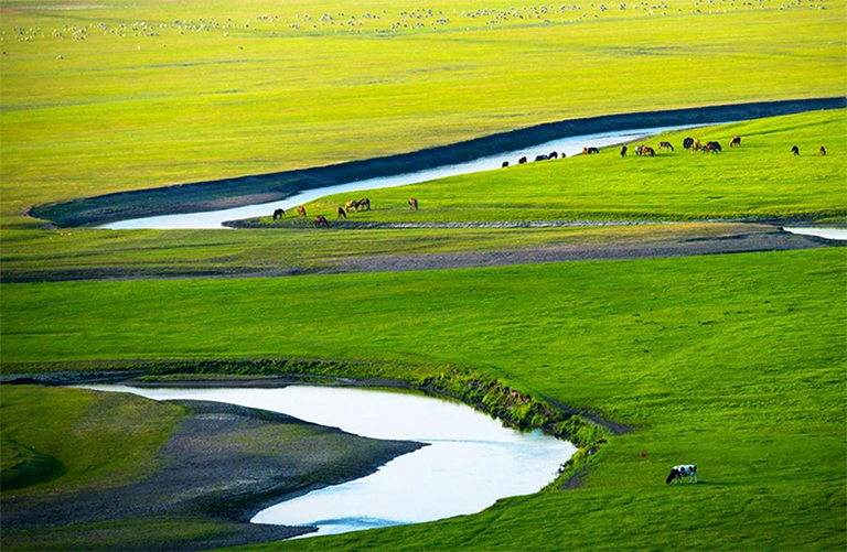 溫帶草原.jpg 溫帶草原