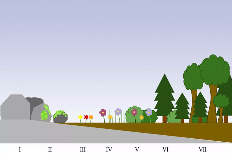 主要演替.jpg 主要演替