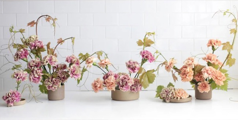 康乃馨.jpg 康乃馨g