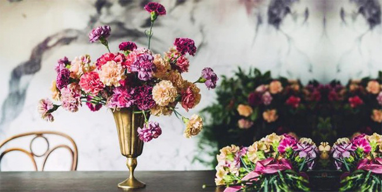 康乃馨.jpg 康乃馨