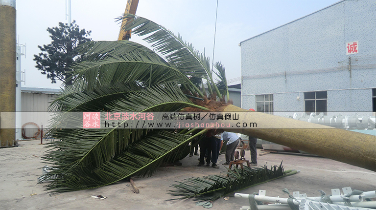 仿真樹.jpg 仿真樹