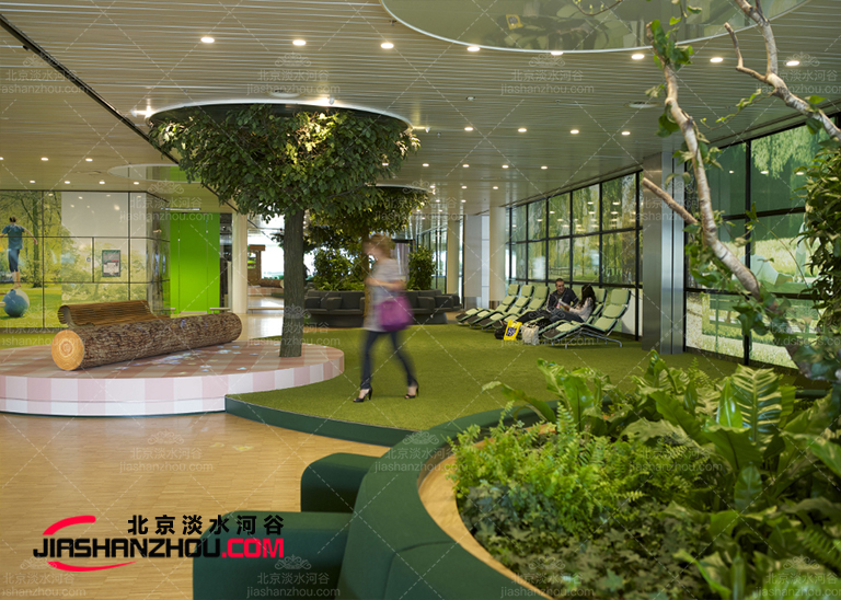 1598500242145901.jpg 181.jpg