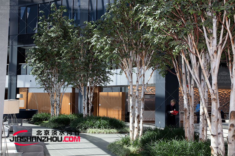 仿真樹(shù).jpg 仿真樹(shù)