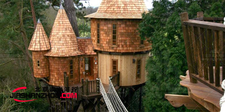 仿真樹.jpg 仿真樹