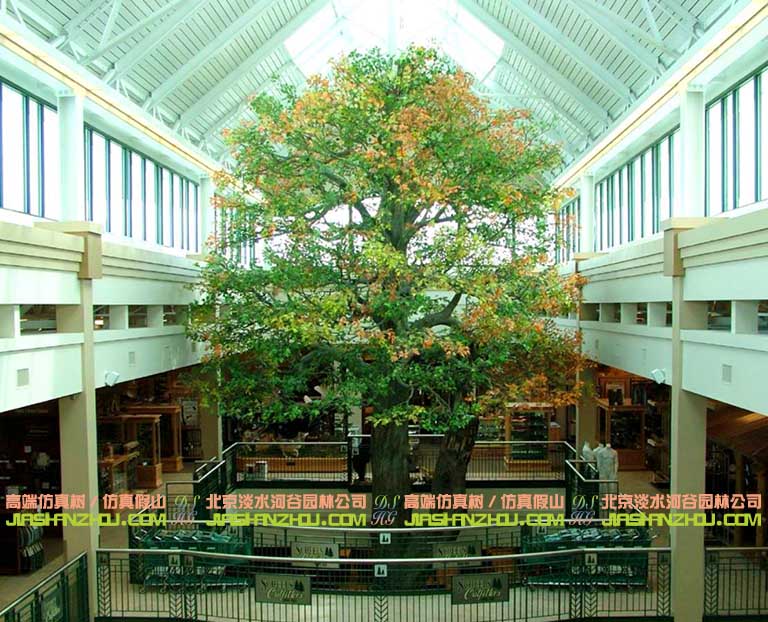 1602578176166378.jpg 大樹16.jpg