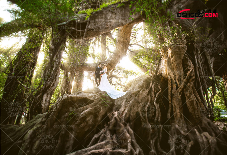 景觀仿真樹圖片.jpg 景觀仿真樹圖片