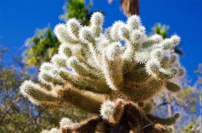 1604547107835430.jpg 1.jpg