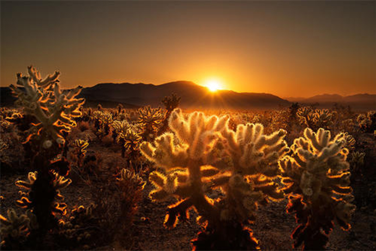 1604547121444783.jpg 3.jpg