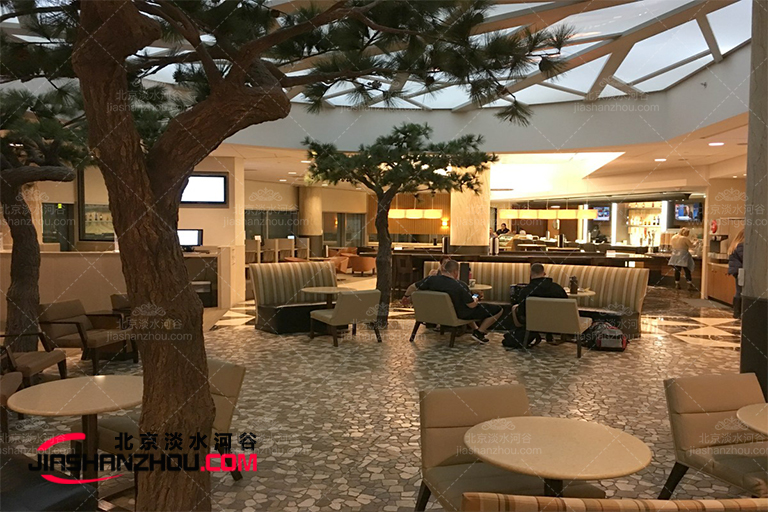 室內景觀樹.jpg 室內景觀樹