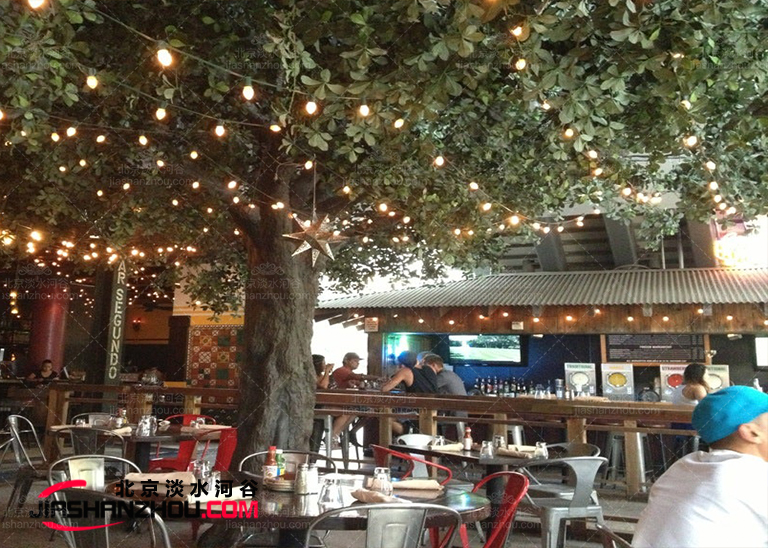 仿真樹.jpg 仿真樹