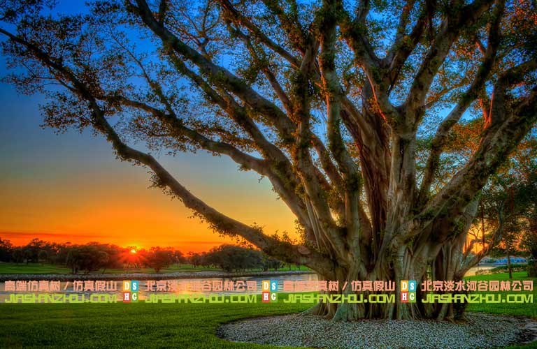 仿真榕樹(shù).jpg 仿真榕樹(shù)