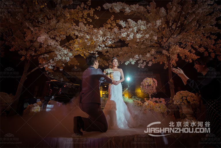 仿真樹.jpg 仿真樹