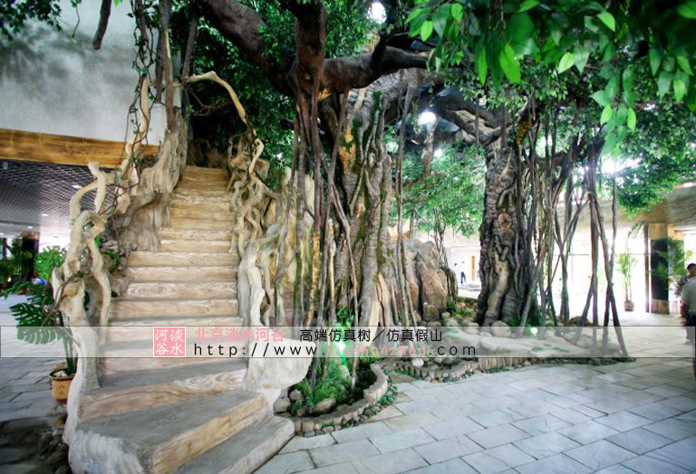 榕樹臺階.jpg 榕樹臺階