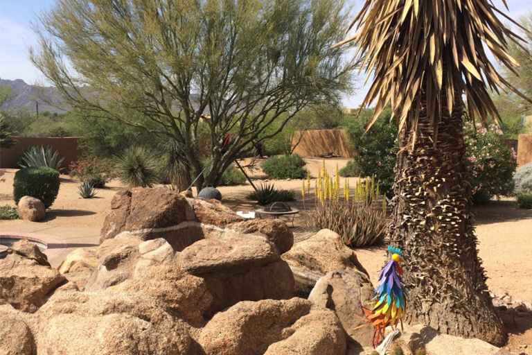 抗旱景觀.jpg 抗旱景觀