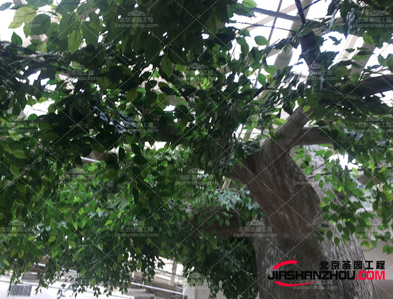 仿真樹(shù).jpg 仿真樹(shù).jpg