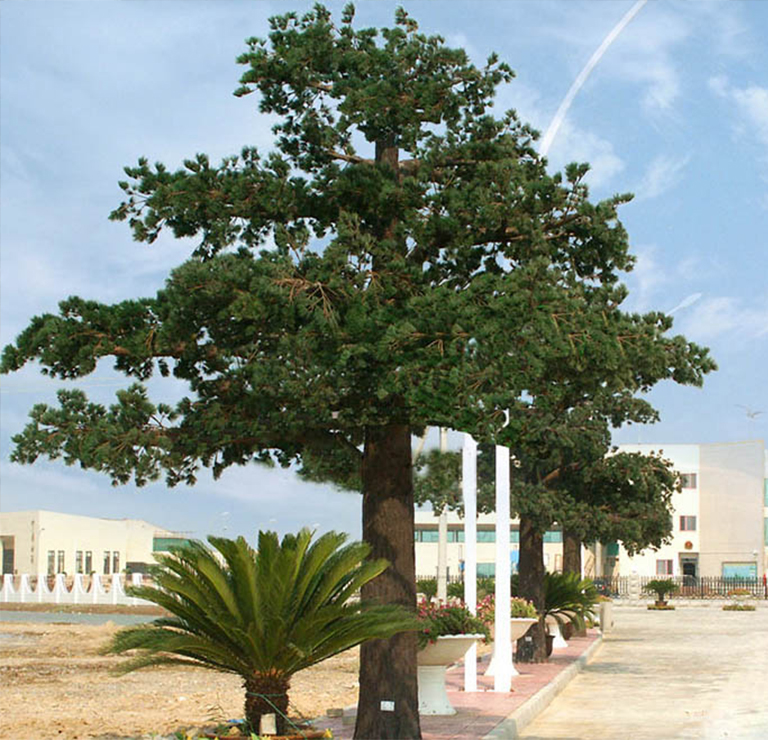 仿真樹(shù).jpg 仿真樹(shù).jpg