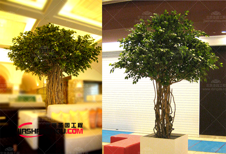 仿真樹(shù).jpg 仿真樹(shù).jpg